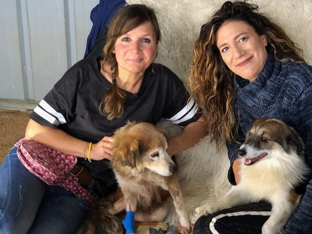 Souda im WDR„Tiere suchen ein Zuhause“am – Tierfreunde Kreta